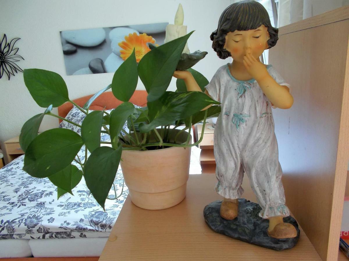 Ferienwohnung Kiruga Kippenheim Kültér fotó